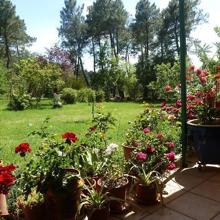 Domaine Du Planas - Patio Villa Ailhon ภายนอก รูปภาพ